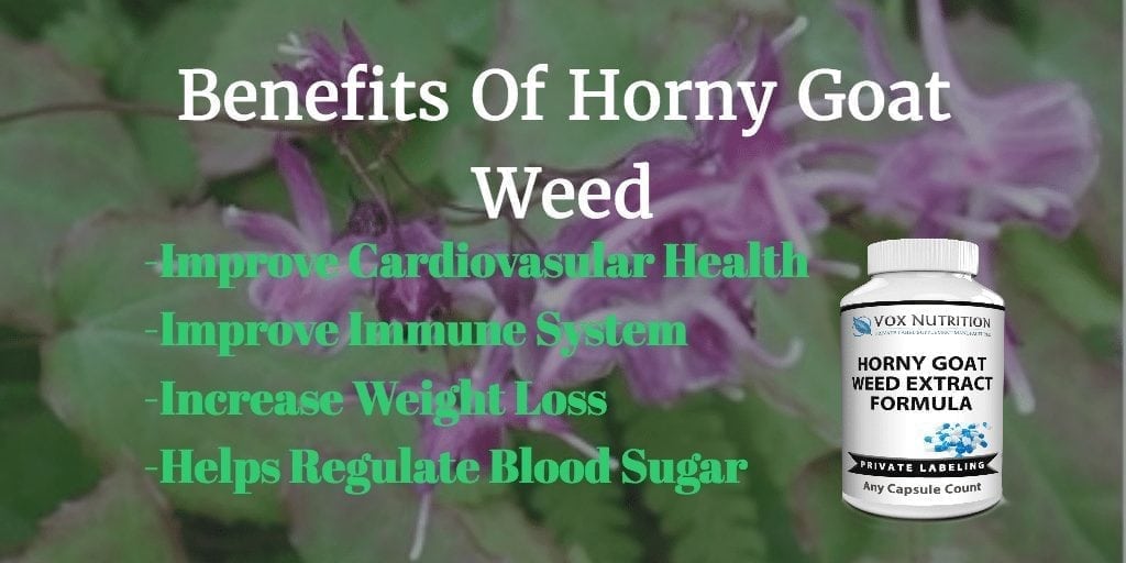 Introducing Our New Private Label Horny Goat Weed Vox Nutrition